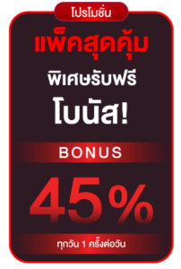 แพ็คสุดคุ้มโบนัส 45%