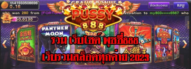 รวม เว็บไซต์ พุซซี่888