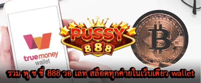 รวม พุ ช ชี่ 888 วอ เลท