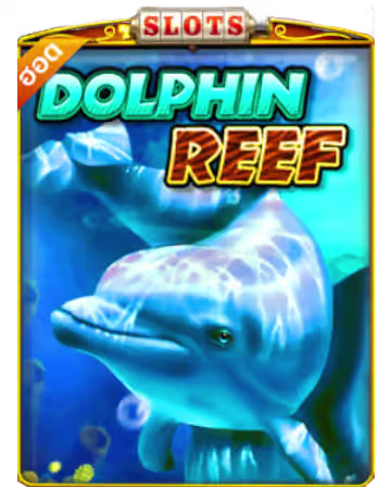 Dolphin reef